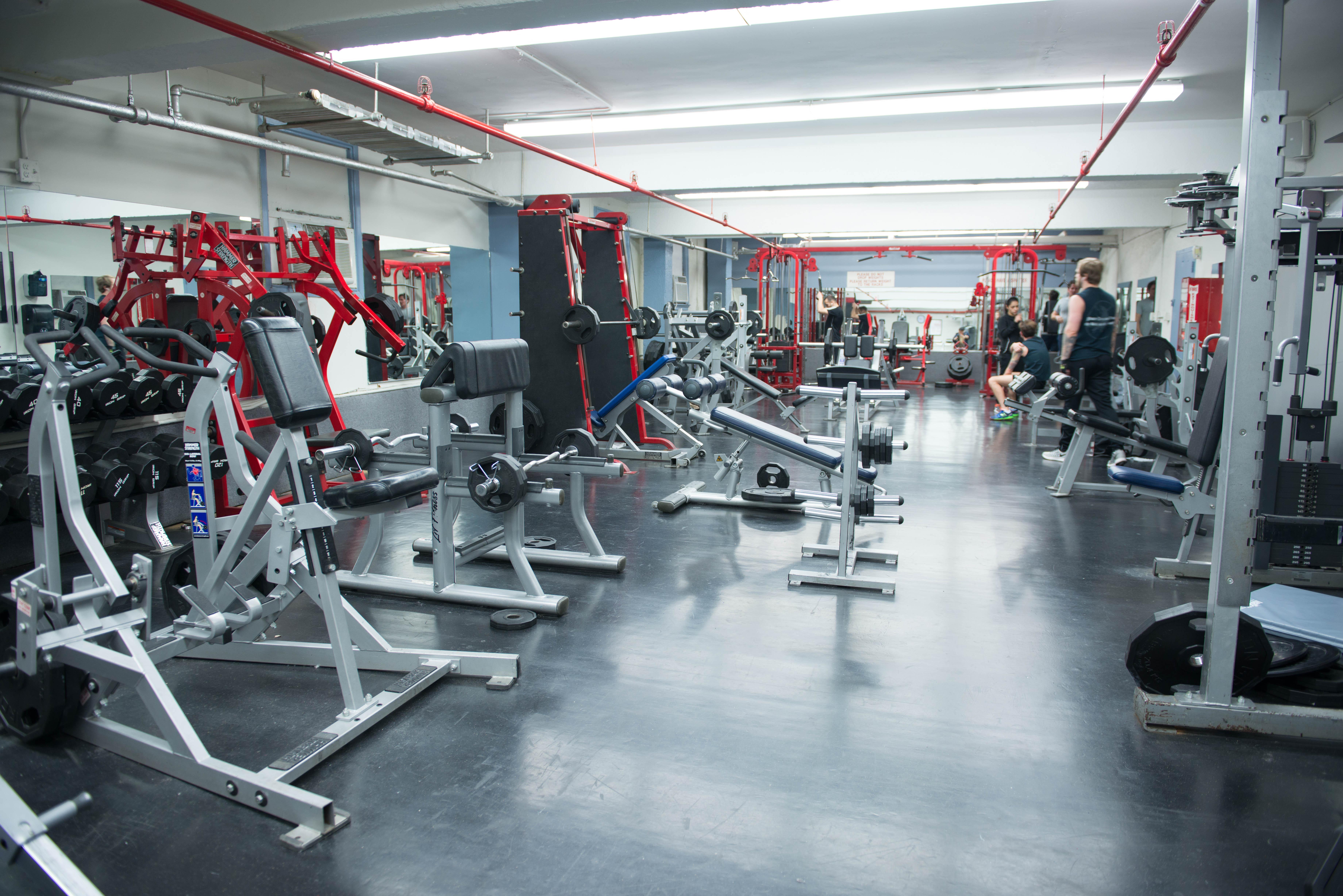 Greenpoint Ymca Brooklyn Auberge de jeunesse New York